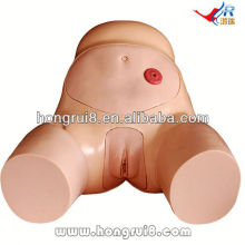 ISO Vivid Female Urethral Catheterization Training Model, training simulator